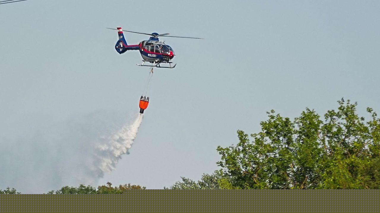 270 Waldbrände in Österreich: Im Herbst steigt die Gefahr weiter
