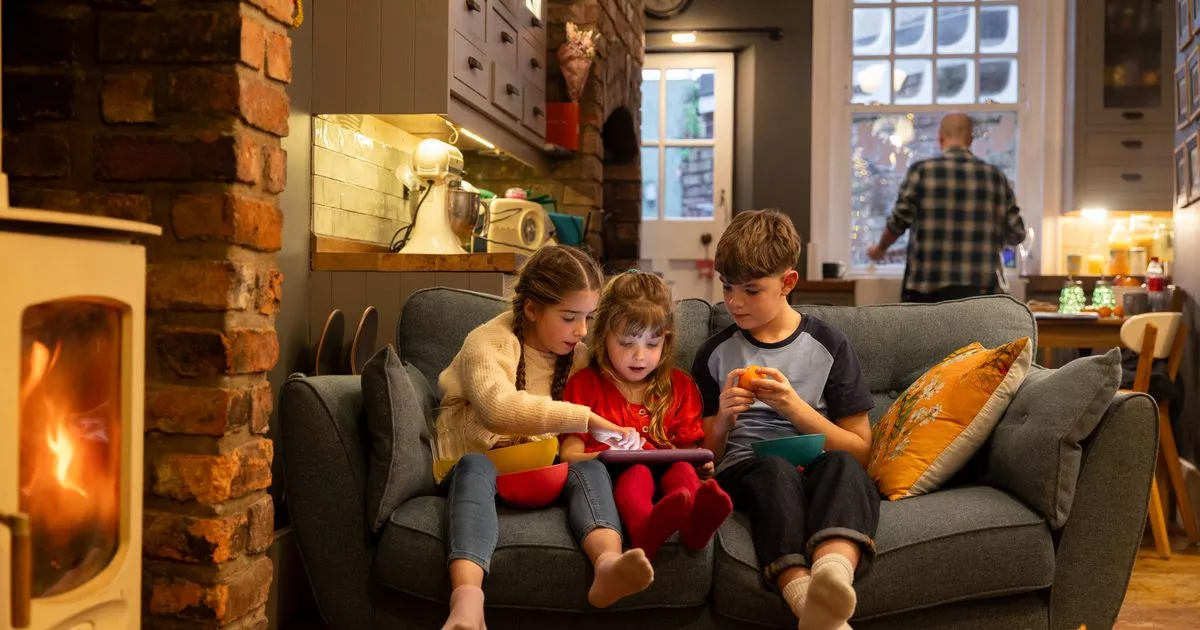 Expert defends wood burning stoves after major new health warning