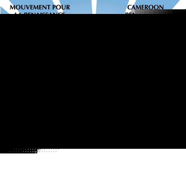 CAMEROUN :: Mamadou Mota annonce des sanctions contre les militants soutenant un candidat sans l'accord de Kamto :: CAMEROON
