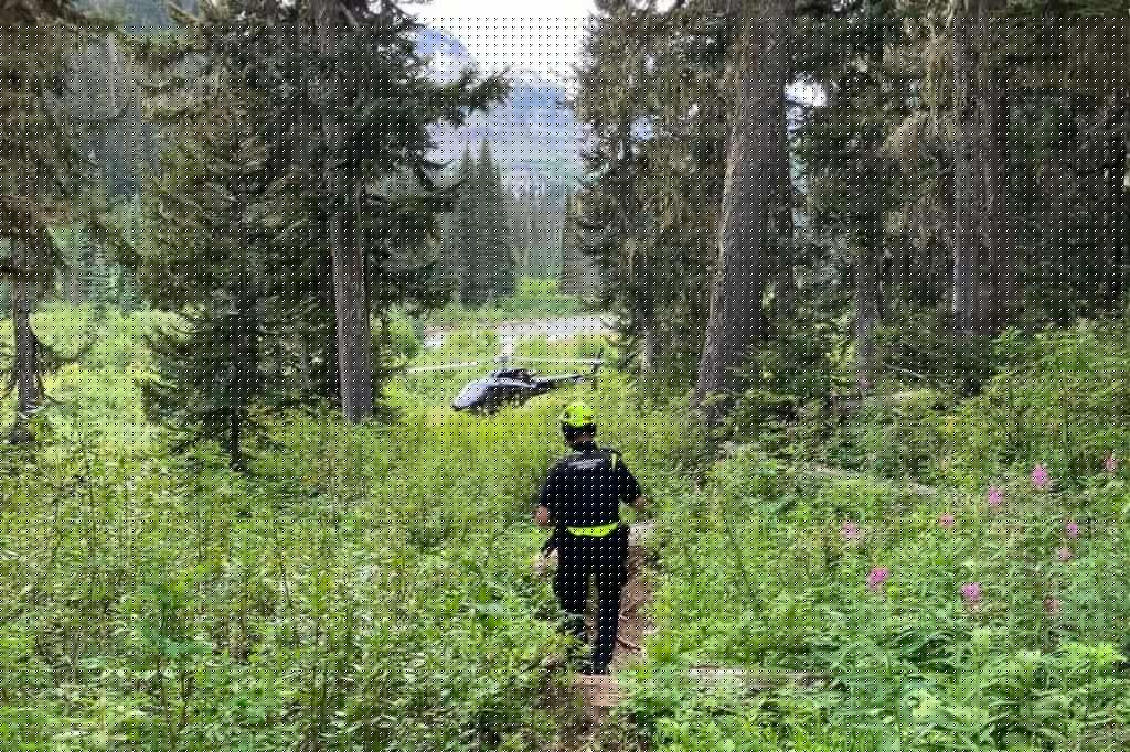 Man injured in grizzly bear attack near Pemberton