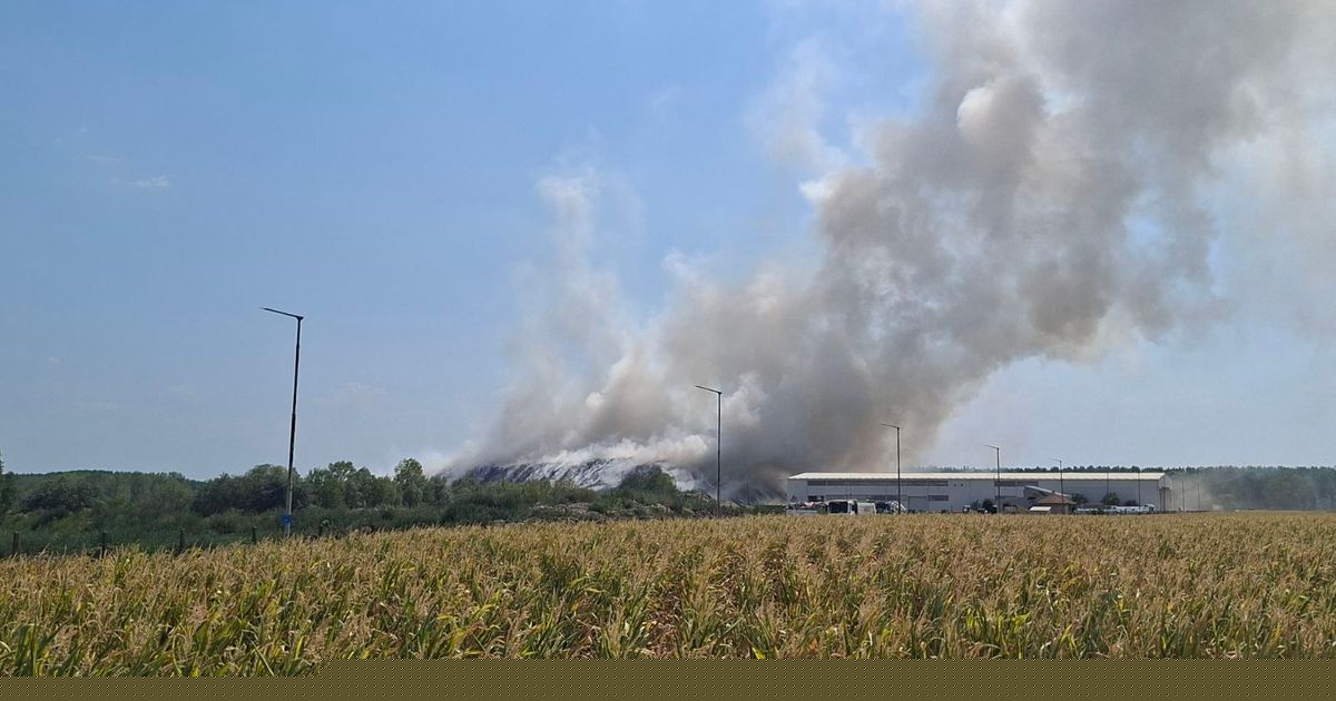Veliki požar kod Sremske Mitrovice! Ogroman dim iznad grada, širi se jak miris paljevine