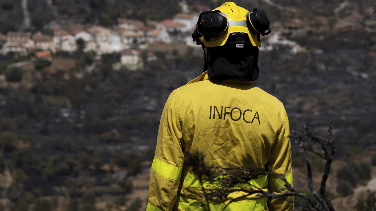 Waldbrände in Europa: Hunderte Einsatzkräfte kämpfen gegen Brand in Andalusien