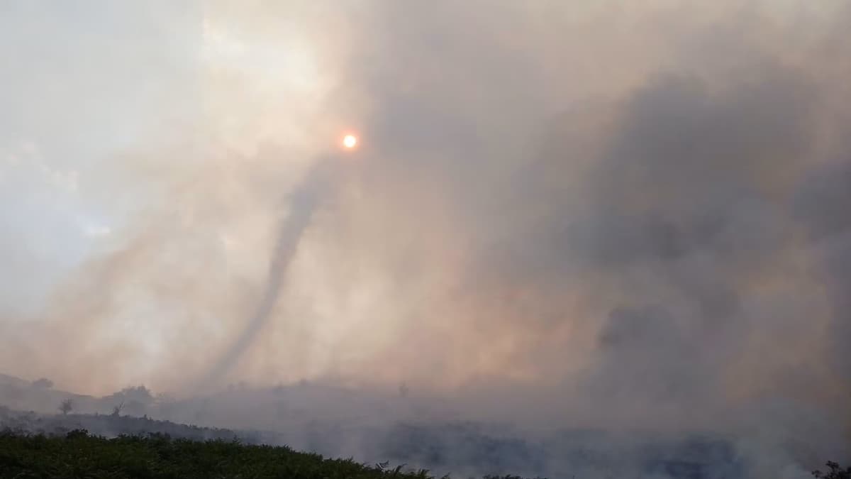 Welsh farmers count cost of devastating wildfires