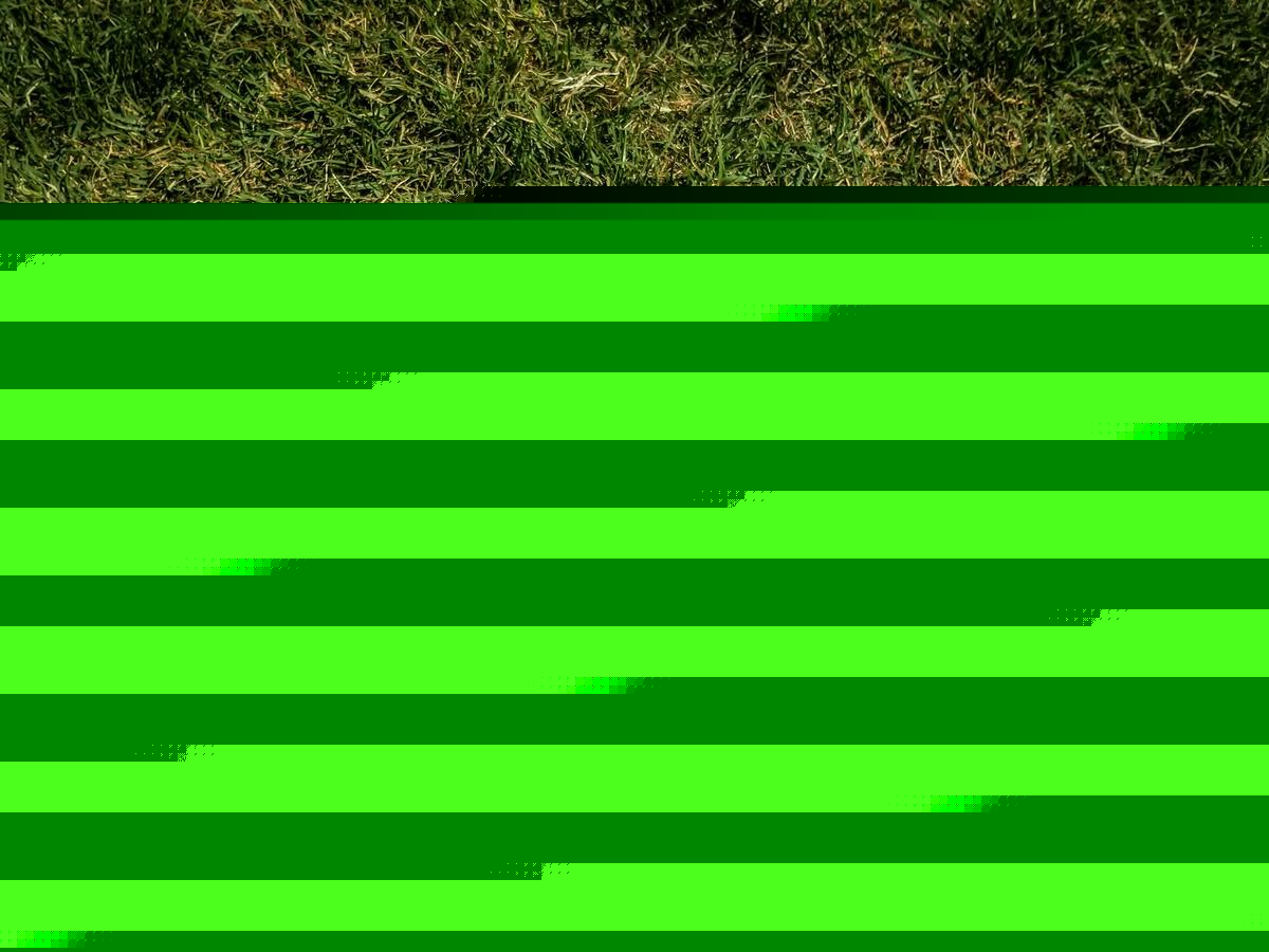 Town Ball Weekly – July 20th, 2026