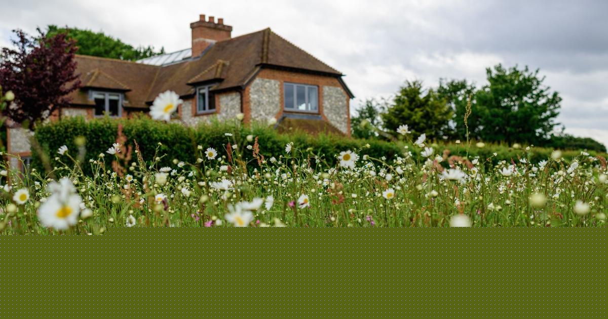New brand encouraging homeowners to create wildlife-friendly garden