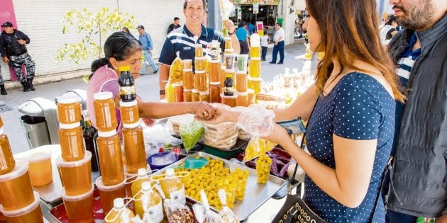 Guadalajara estira el verano con miel y vida marina