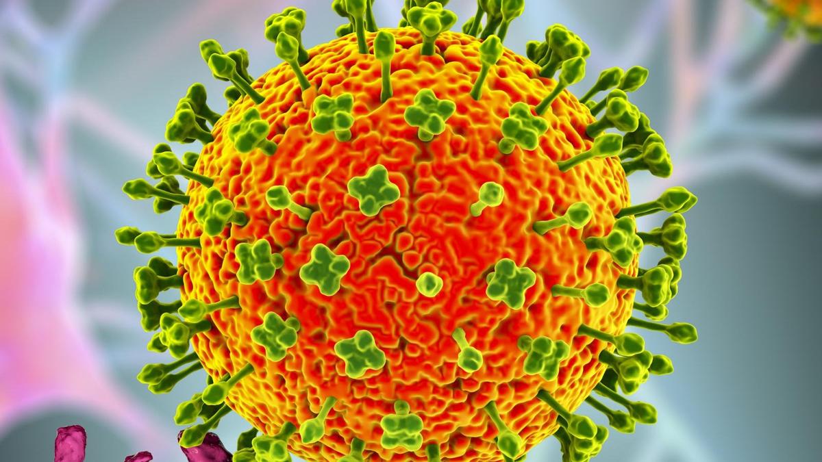 Asian airports tightening  screening procedures after deadly Nipah virus detected in India, Australian authorities monitoring