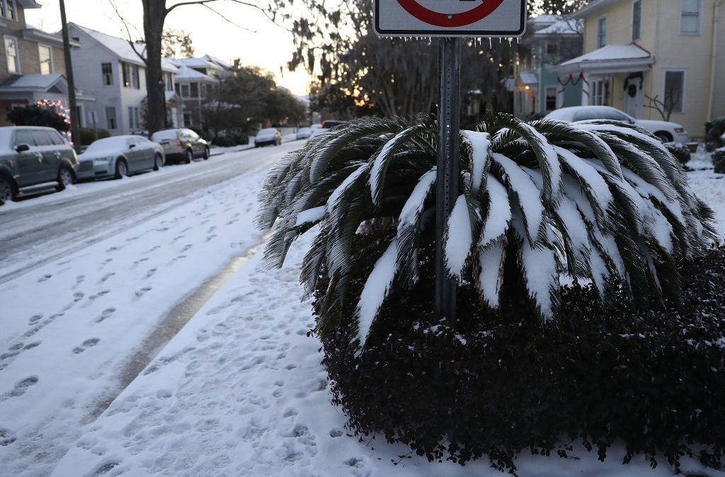 Is It Going To Snow in the Tampa Bay Area This Weekend? Here’s the Latest Update