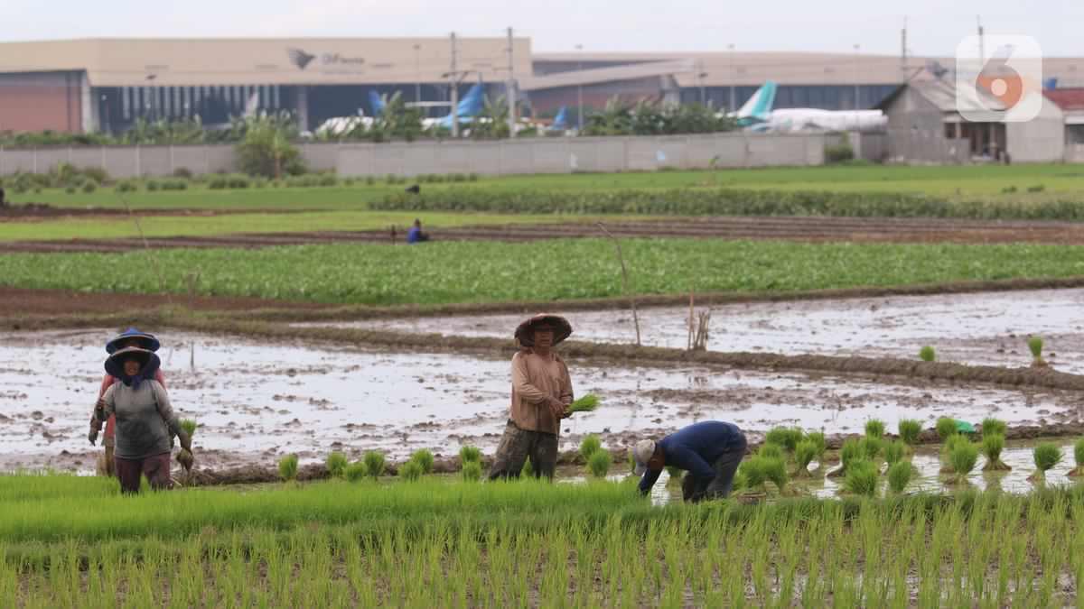Hari Tani Nasional 24 September: Momentum Reforma Agraria, Hilirisasi hingga Lumbung Pangan