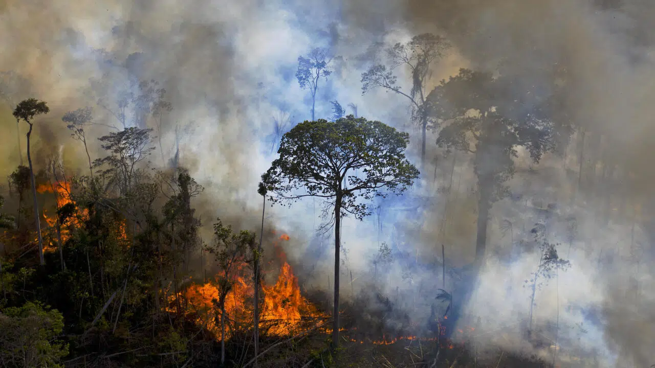 Brigadistas de Brasil combinan el saber ancestral y la tecnología para luchar contra el fuego en la Amazonía