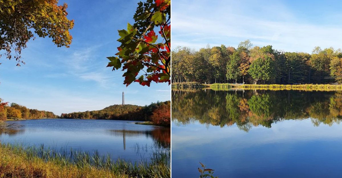 10 New Jersey Swimming Holes That Feel Like Summer’s Best-Kept Secrets