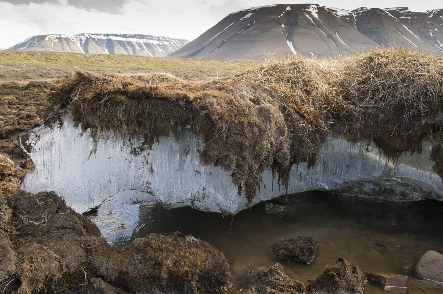 Un estudio reveló que el deshielo del permafrost libera contaminantes en el Ártico canadiense y hay preocupación