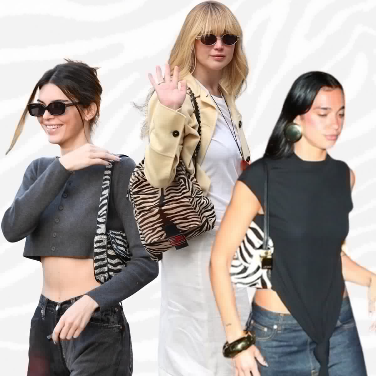 The Zebra Handbags Celebs Are Carrying for Fall