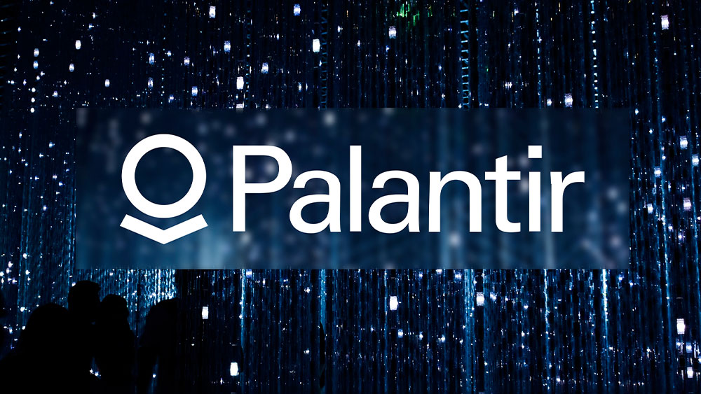 Palantir Stock: What Investors Need To Know