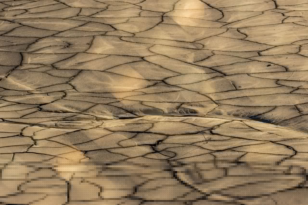 Netherlands officially declares water shortage amid persistent drought