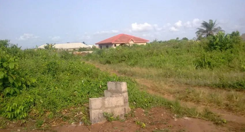 Lagos’ land formalisation drive: What it means for landowners