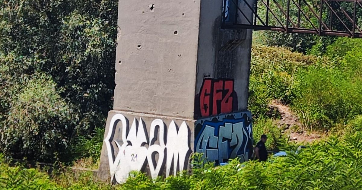 Pekli kukuruz, a potraga za drvima postala kobna: Potonuo u mulj kod Crvenke, ronioci jedva pronašli telo