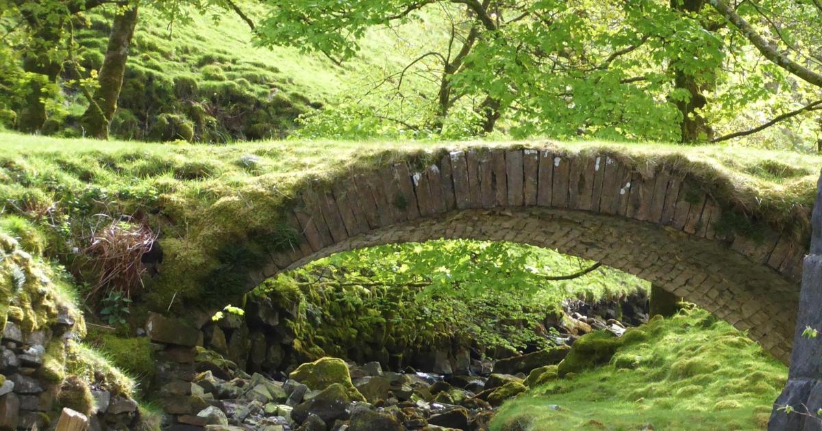 Readers' pictures: Finding small pockets of greenery amid the dry spell