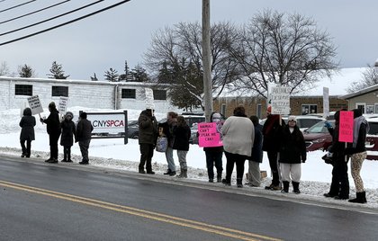 State to inspect CNY SPCA after employees say animals neglected