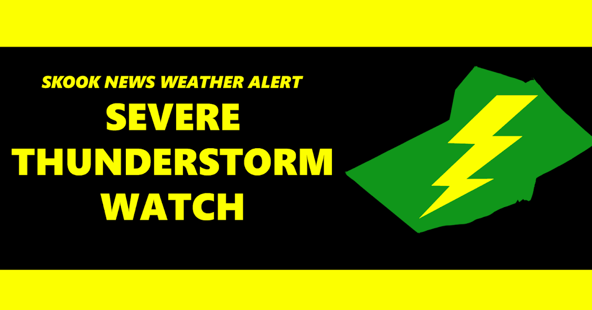 Severe Thunderstorm Watch Issued for Schuylkill County; Strong Storms Expected This Afternoon