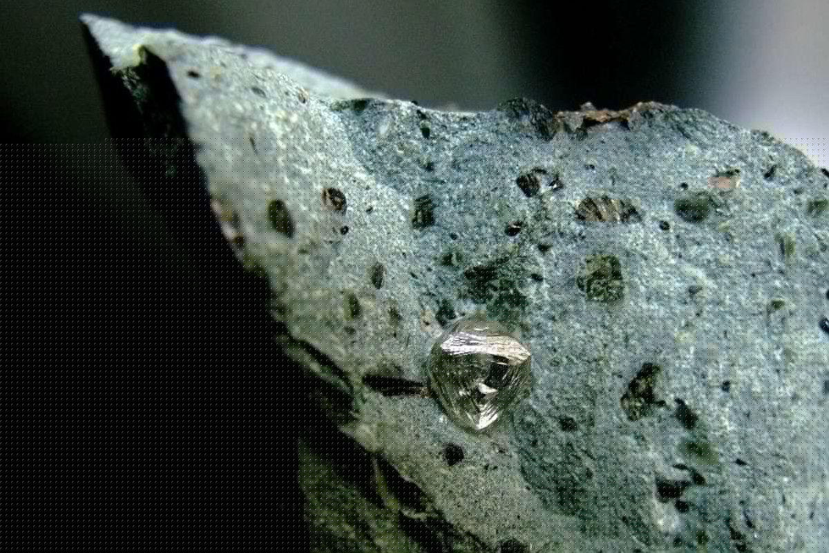 The Diamond Paradox: Rich beneath the soil, poor above it