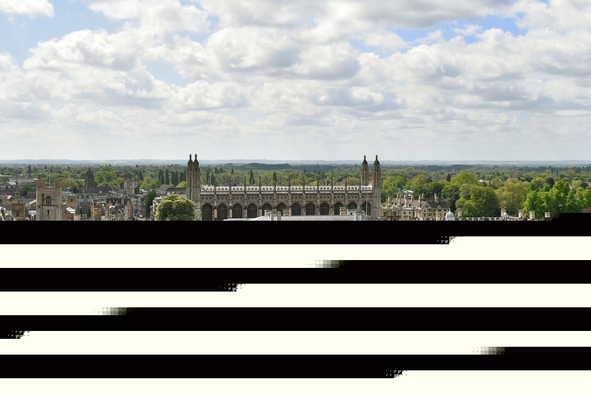 Cambridge must not mark own homework with review in plagiarism row – academic