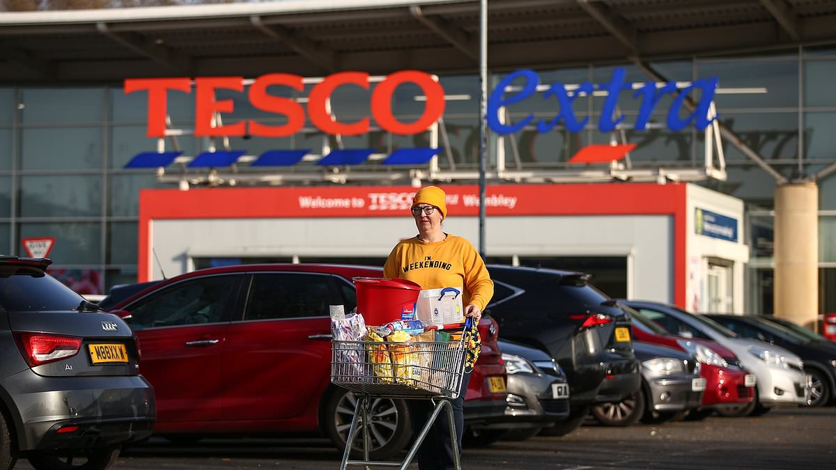 Tesco shares hit 12-year high as they brace for Christmas price war