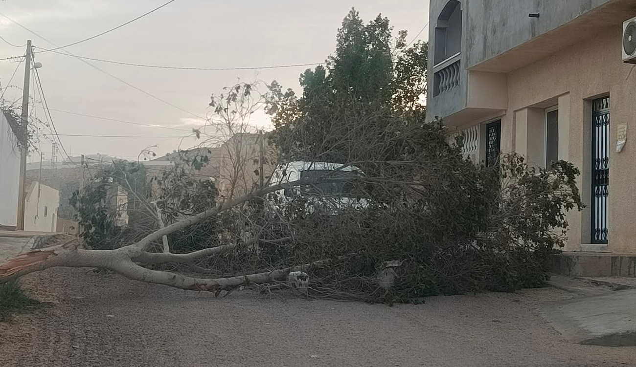 Tataouine : chutes d’arbres et coupures d’électricité suite à des vents violents