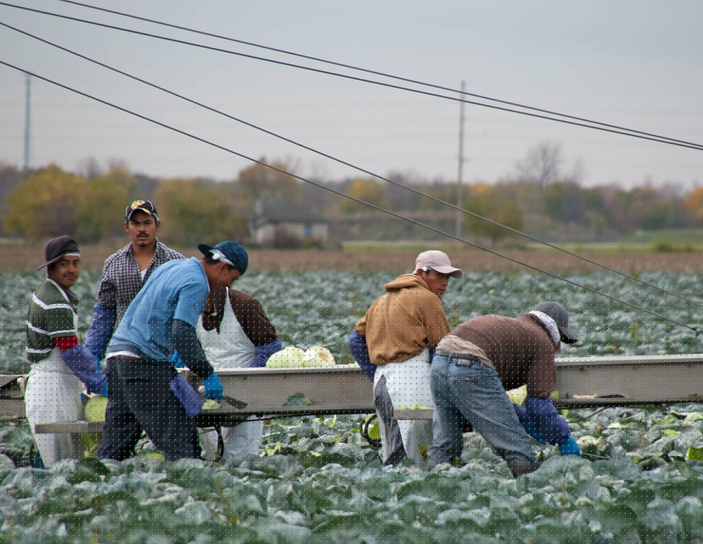 Tracking migrant worker abuse in global supply chains