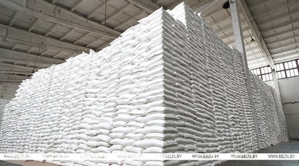 Belarus' major food exports named