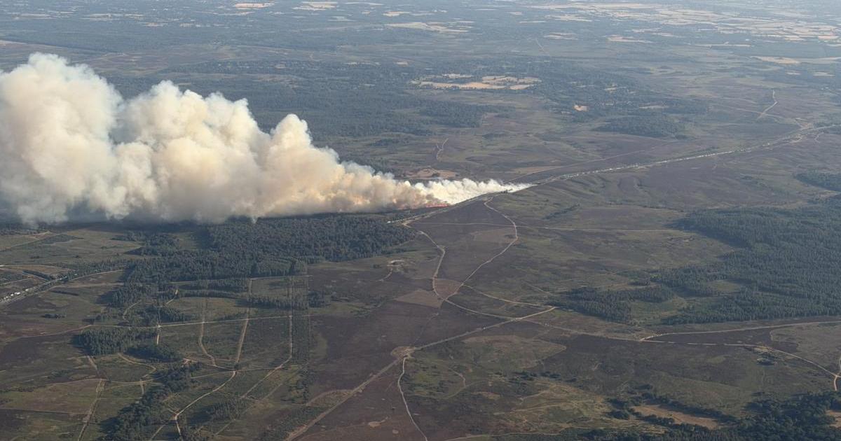 More New Forest road and car park closures announced as A31 fire blazes on