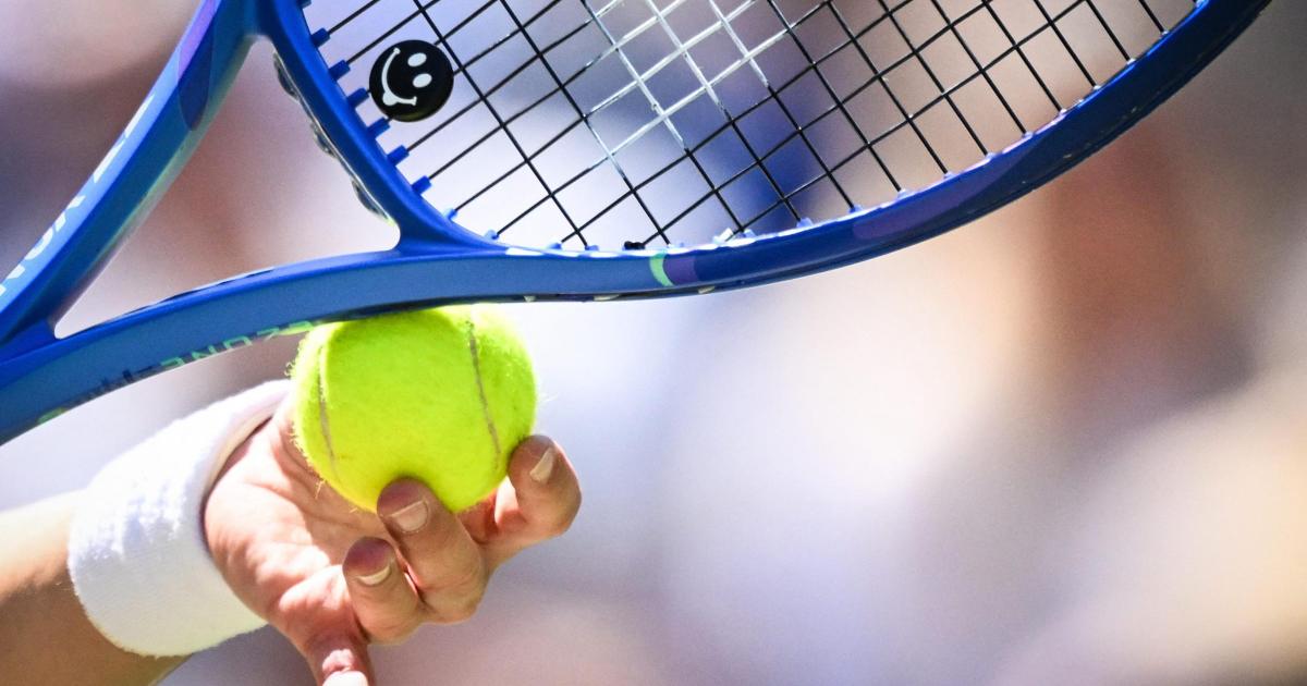 Secret Canada goose cull at Surrey tennis club sparks outrage among members