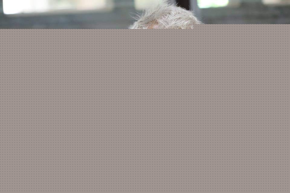 Comment on Father of geology in Papua New Guinea dies at 89 by Stephen neale