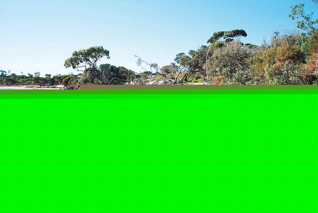 DEECA updates on coastal erosion at Loch Sport