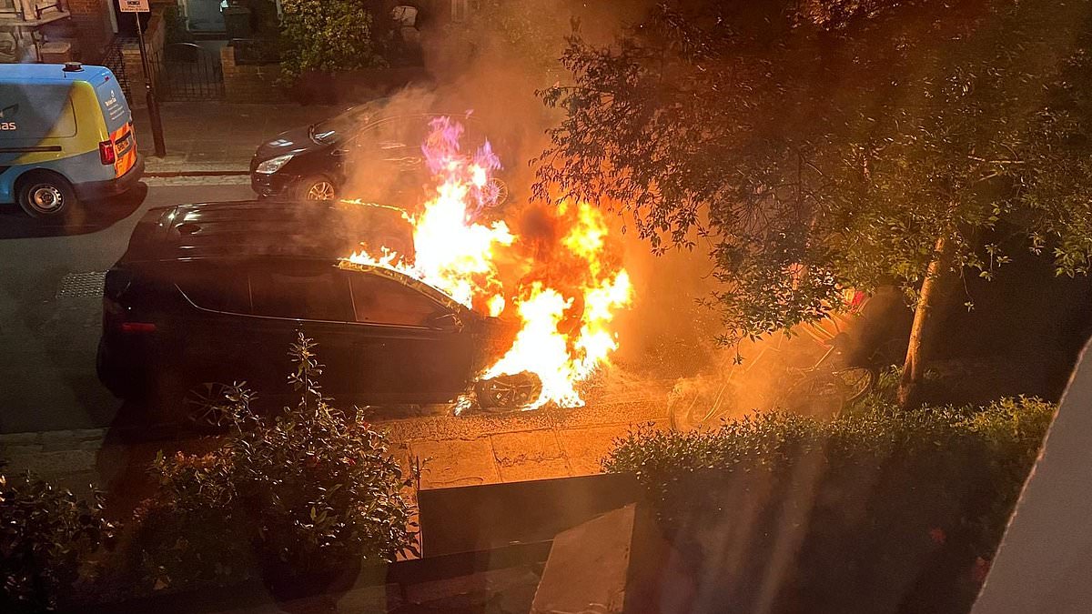 Fifth man, 19, is arrested over Keir Starmer arson attacks in north London