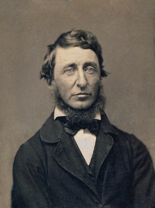 Revisiting Thoreau in the Twenty-first Century