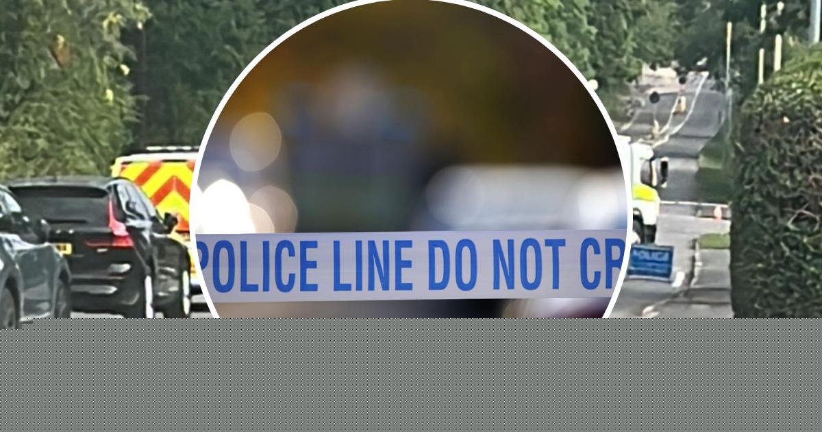 Borehamwood bomb squad: pair suspected of 'conspiracy to commit murder'
