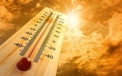 Relieving heat stress in dairy cattle