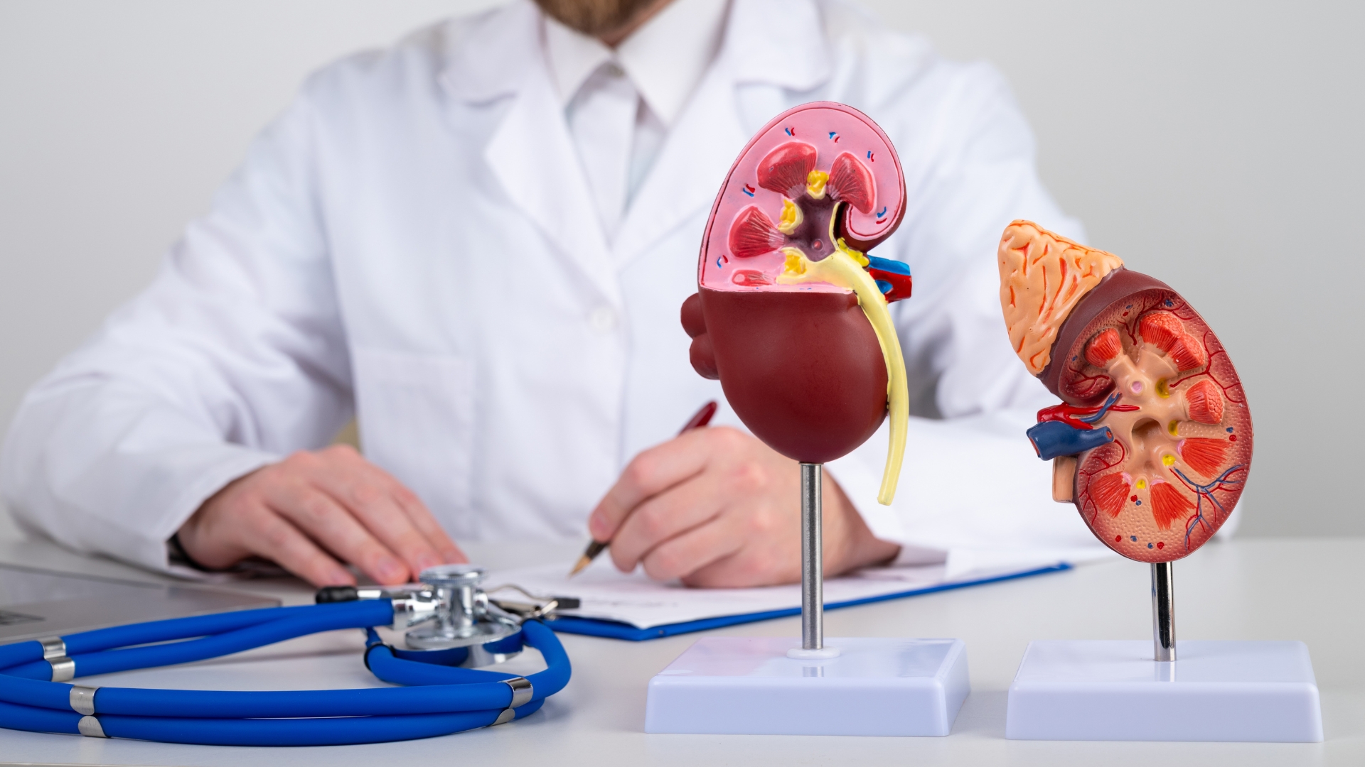 Study Reveals Mechanisms of Kidney Injury and Cancer from Exposure to Weed Killer Glyphosate