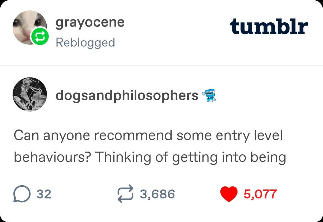 Tumblr - Anyone?