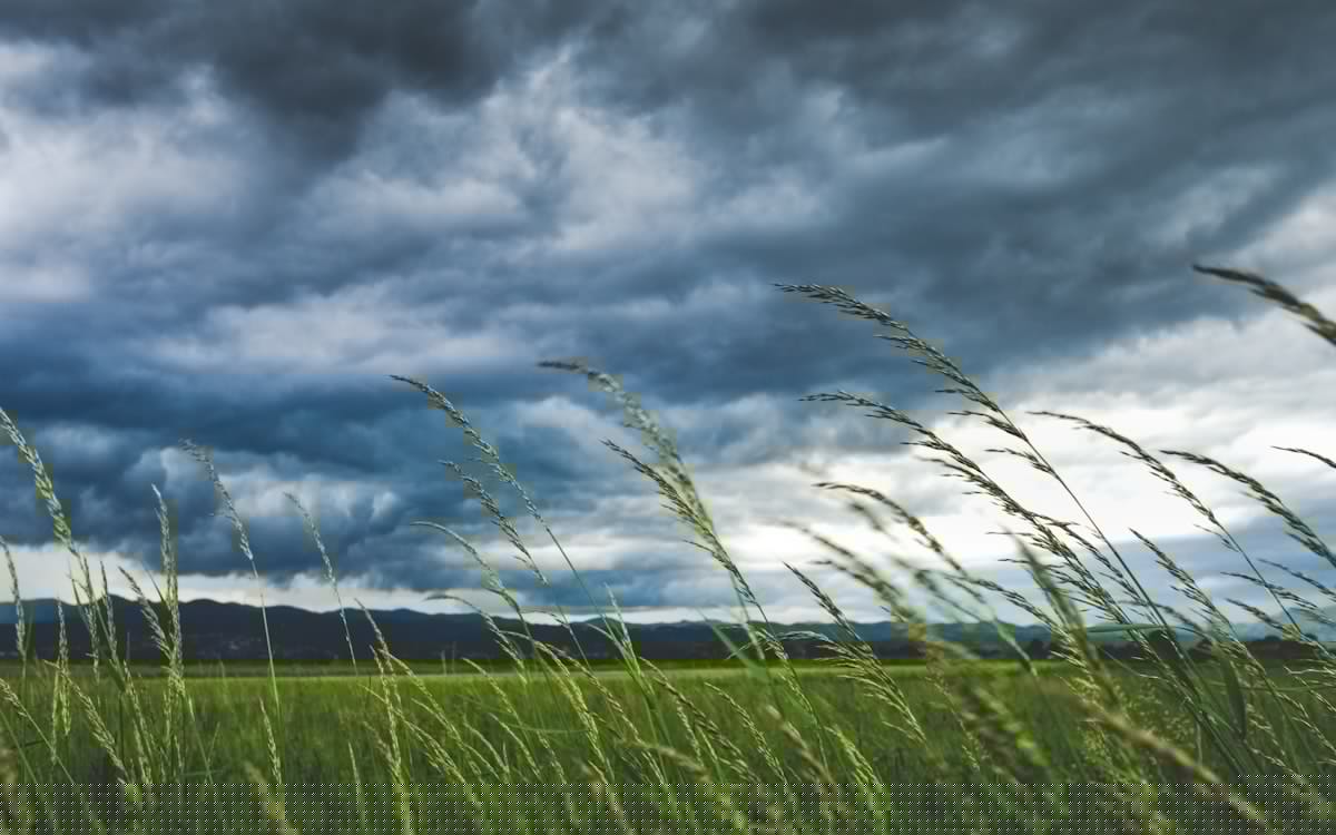 Northern Illinois Could See a Rare and Dangerous Storm Tonight