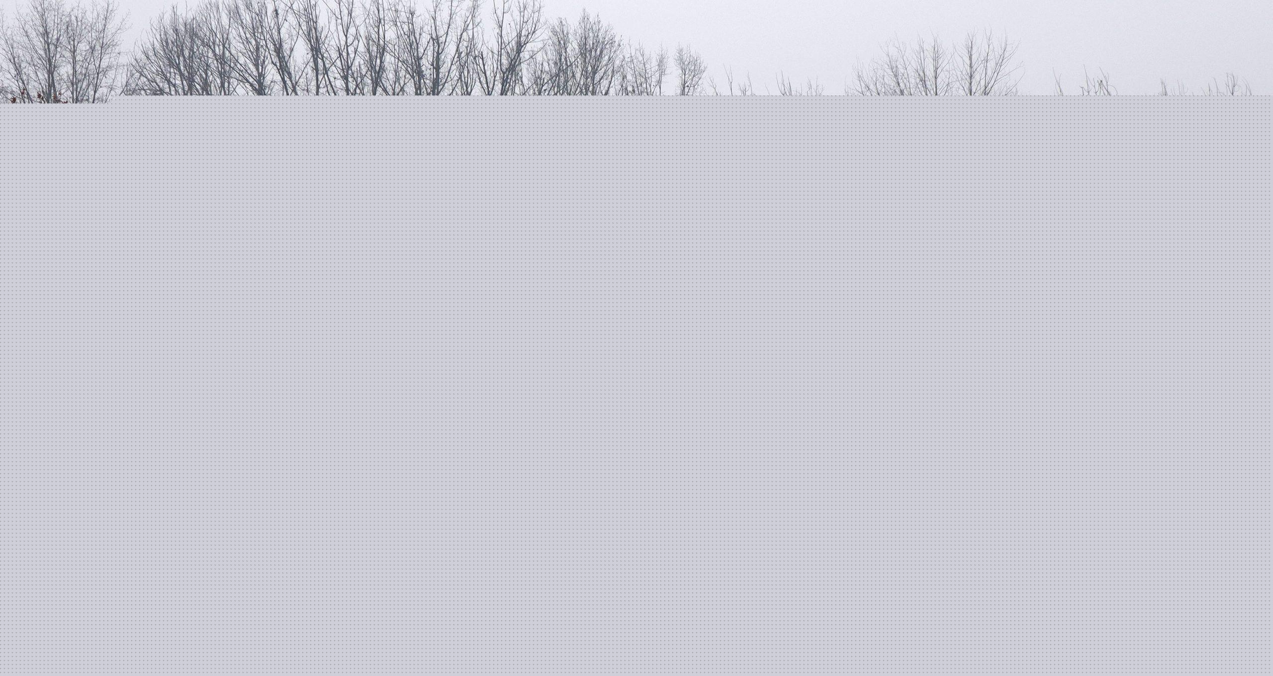 Comment on JKPCC Downplays Top Pulmonologists Concern On Air Quality In Kashmir by Ricky Cox