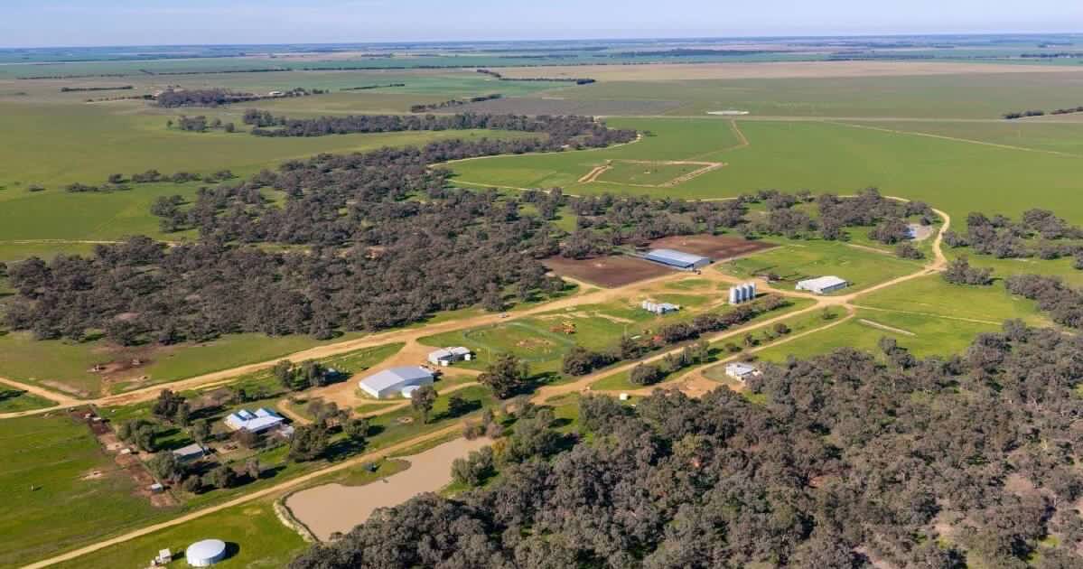 Whittier Park an outstanding property build for cattle production | Video