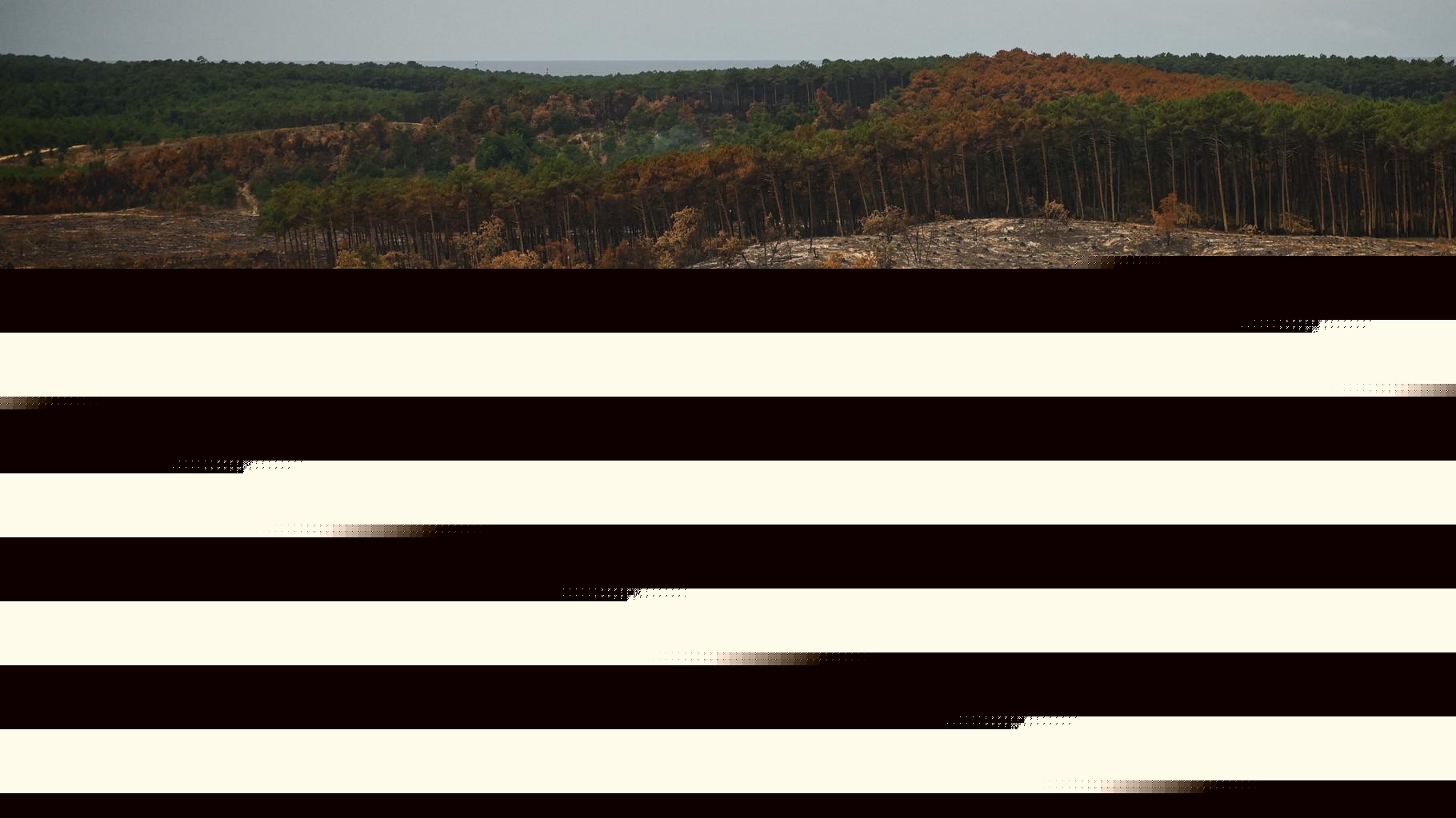 L’incendie en Gironde enfin « maîtrisé » par les pompiers, annonce la préfète Sophie Brocas