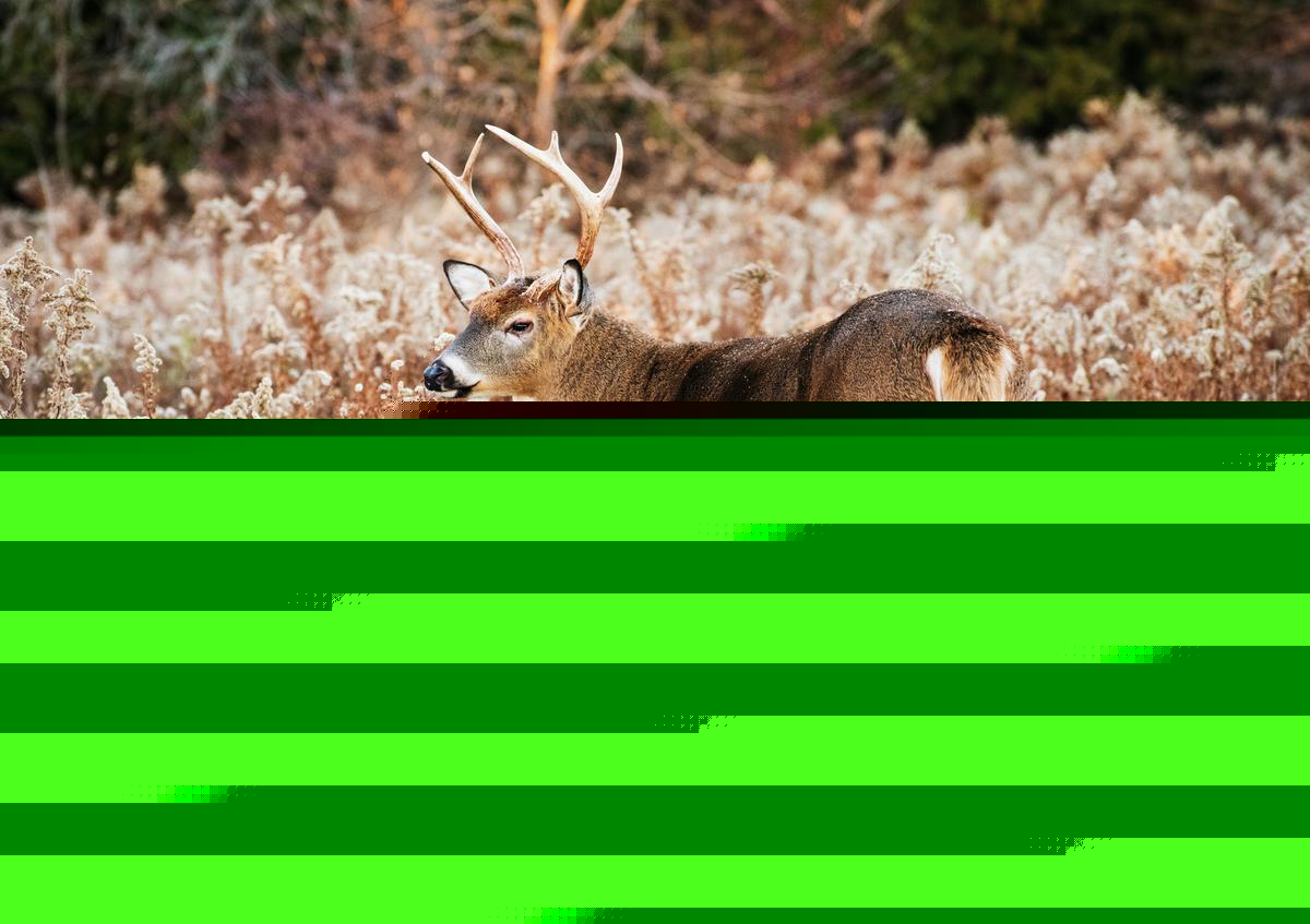 Iowa DNR 2026-2027 Hunting Changes: New Zones and Rules