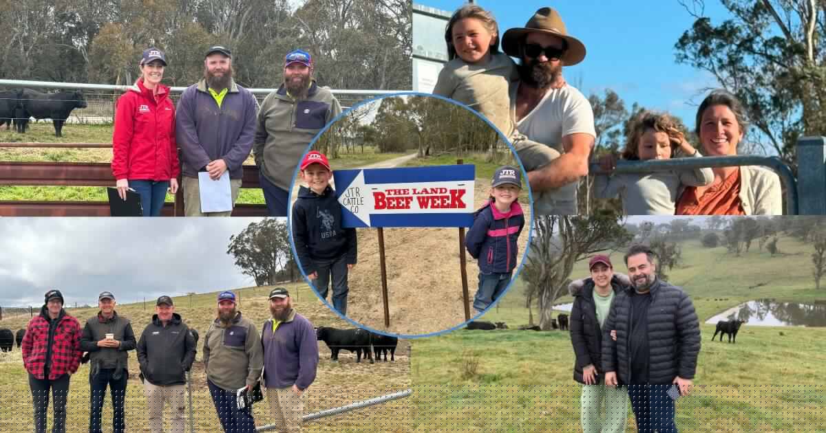 'Genuine interest' has clientele flock to studs for Southern Beef Week