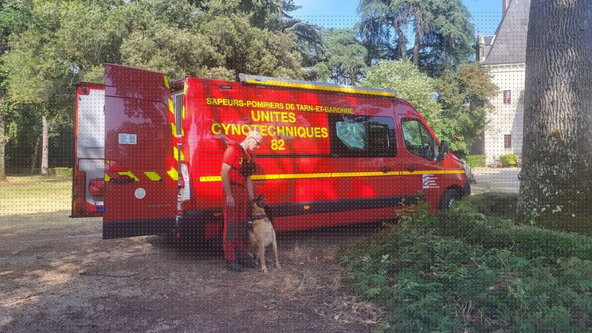 "Une personne a appelé à l'aide et crié" : un homme de 50 ans introuvable dans un bois escarpé et isolé, hélicoptère, drones, chiens et motards mobilisés pour les recherches à Valence-d'Agen