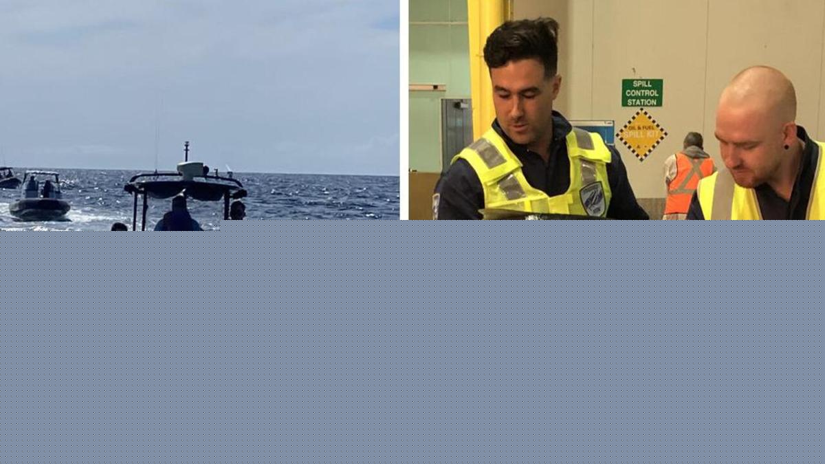 Black market sellers to face $44k fines, officials to be able to question boat owners in NSW
