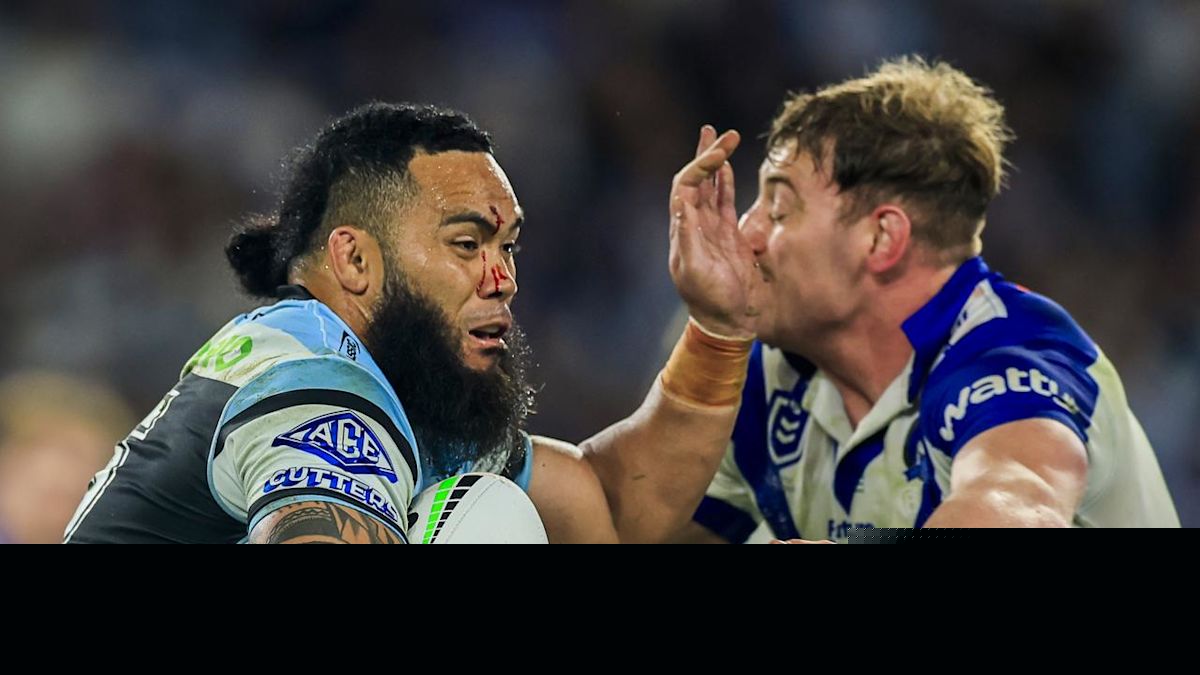 Milestone 'emotional' and 'bittersweet' for Shark