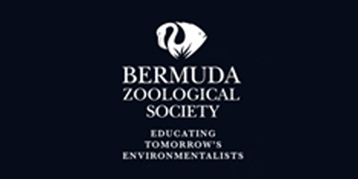 Comment on BZS & BAMZ On Reported Manatee Sighting by Triangle Drifter